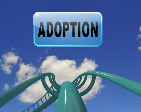 The Adoption Rollercoaster