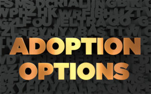 Open and Closed Adoptions in North Carolina