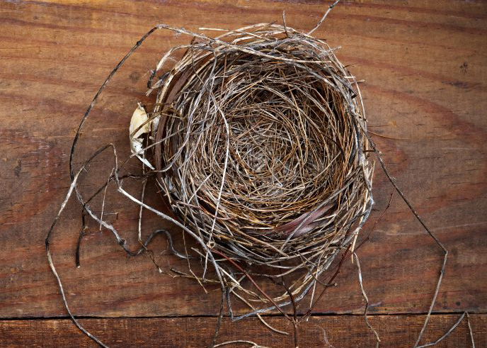 “Nesting” – Does It Count in Court and Is It Right for You?